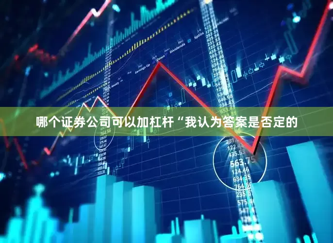 哪个证券公司可以加杠杆“我认为答案是否定的