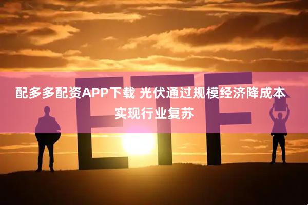 配多多配资APP下载 光伏通过规模经济降成本  实现行业复苏